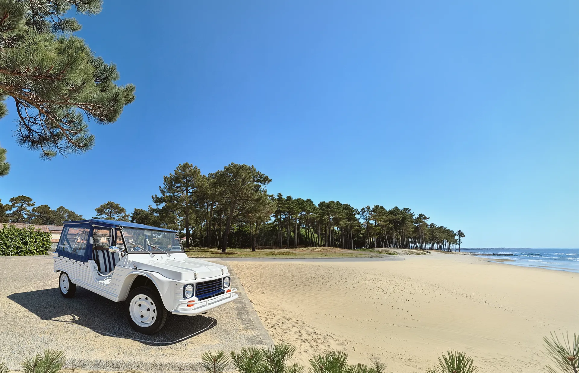 Vue aérienne cinématique des dunes de la côte atlantique