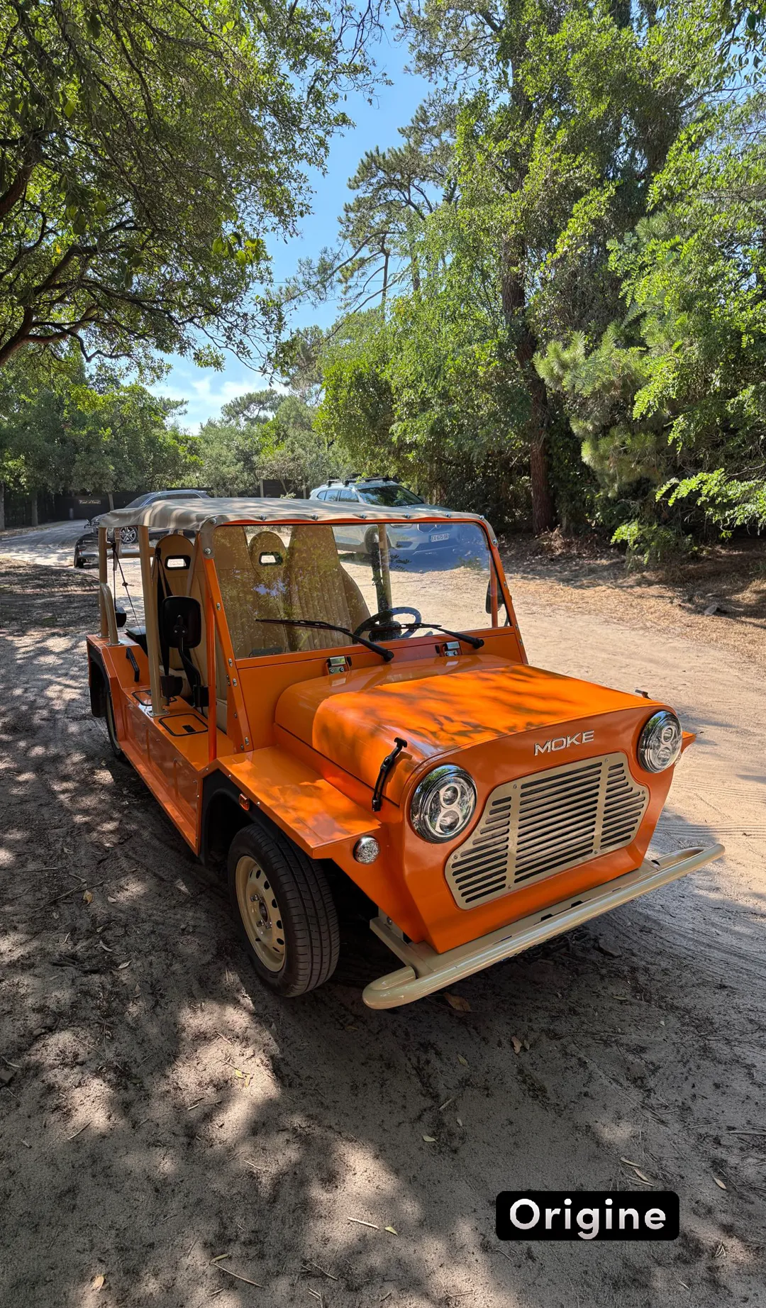 Moke Interior Detail
